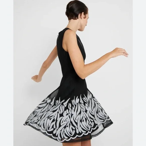 dkny embroidered mesh fit & flare dress DKNY Embroidered Mesh Fit & Flare Dress